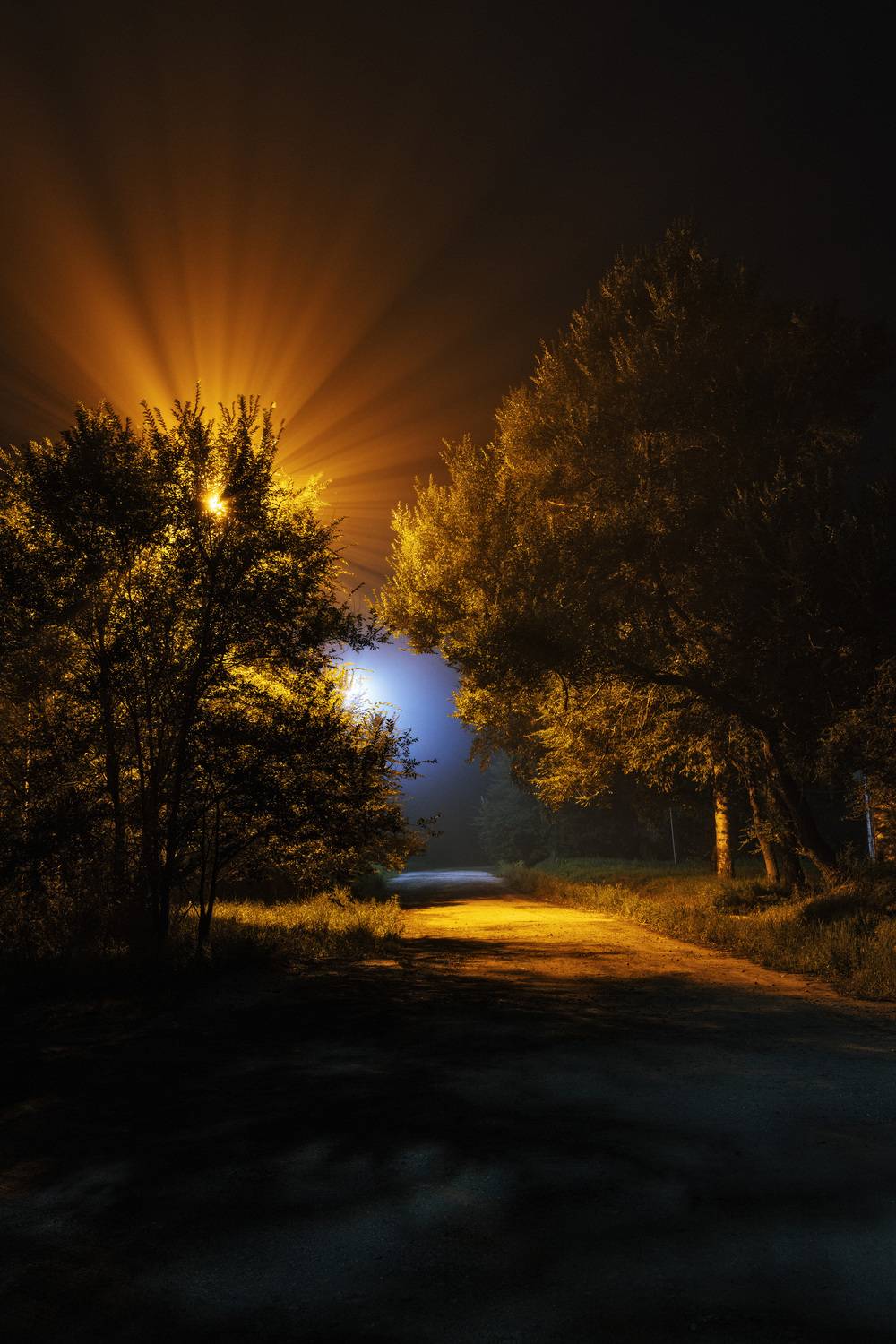 фотограф олег мороз, ночная фотосъёмка, золотая долина, находка, приморский край, ночь, Мороз Олег