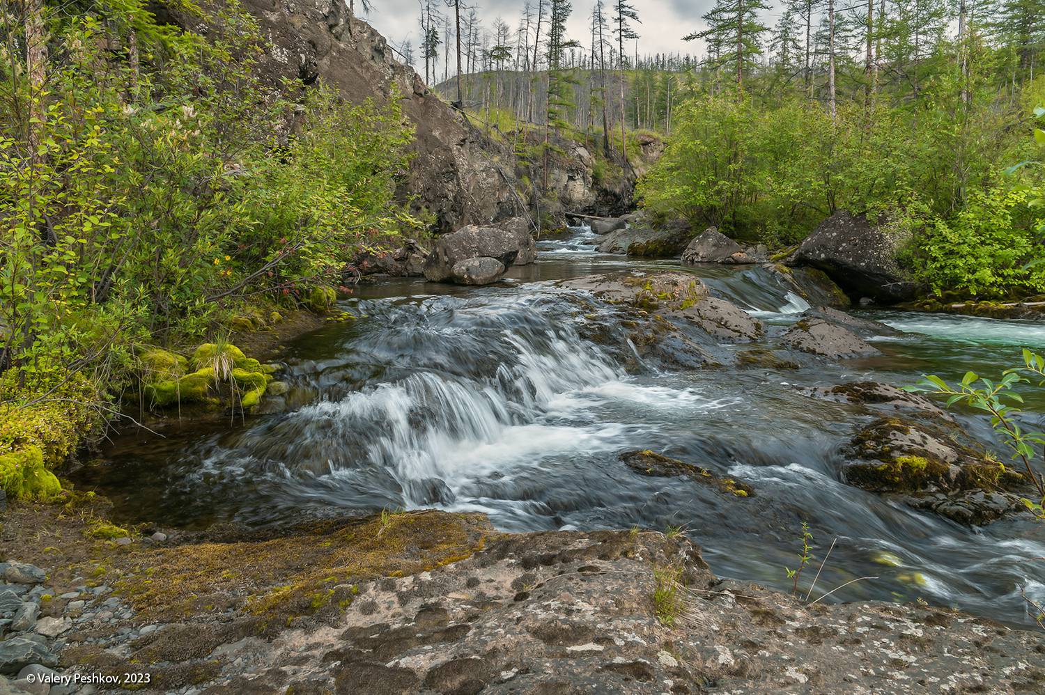 плато путорана, река курейка, ручей, водопад, вода, течение, перекаты, скалы, тайга, владимир коваль, Пешков Валерий