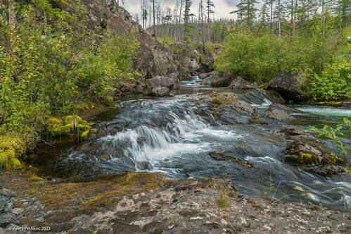 Весёлый ручей
