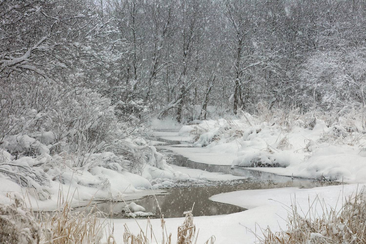 ,  александр михайлов