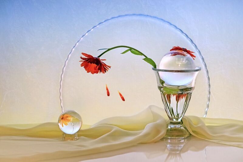 Кровавая Мэри фото превью