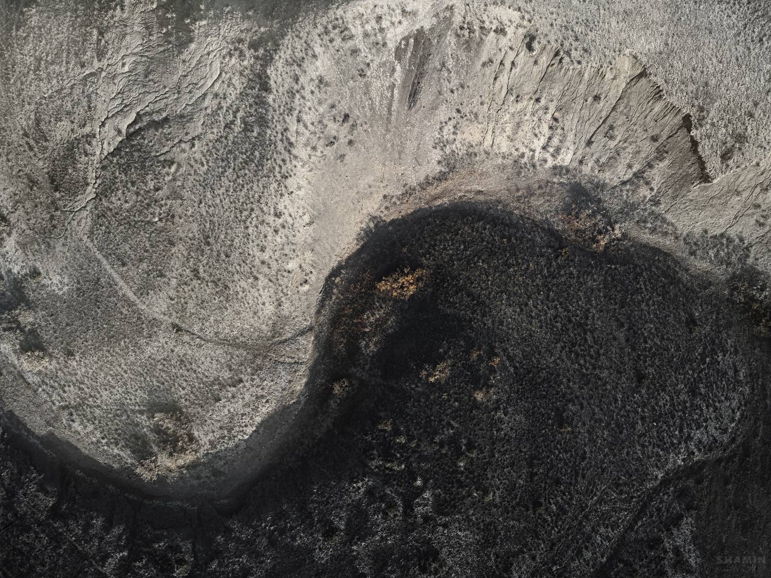 , Константин Шамин