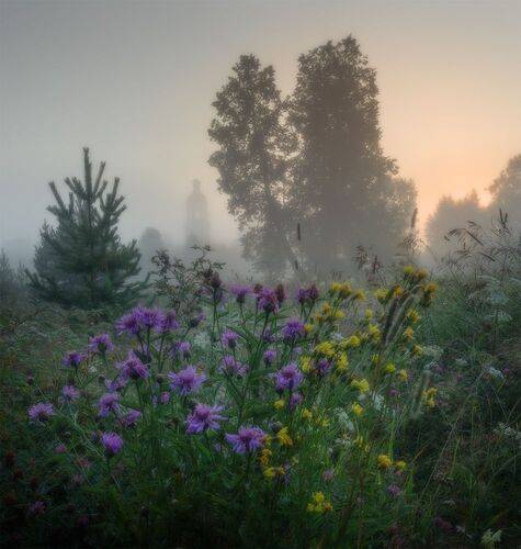 Августовский букет.