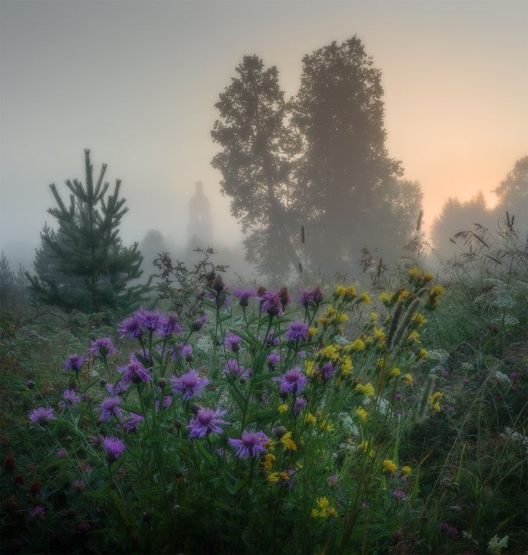 август, село, рассвет, туман, церковь, цветы Августовский букет. фото превью