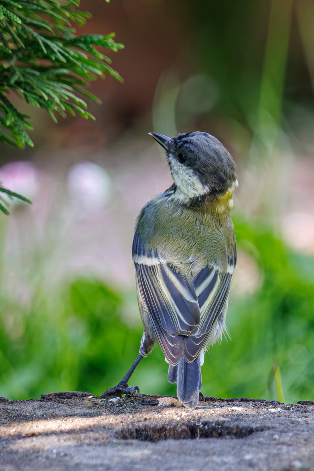 , Морозов Сергей