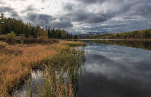 Такое разное Киделю
