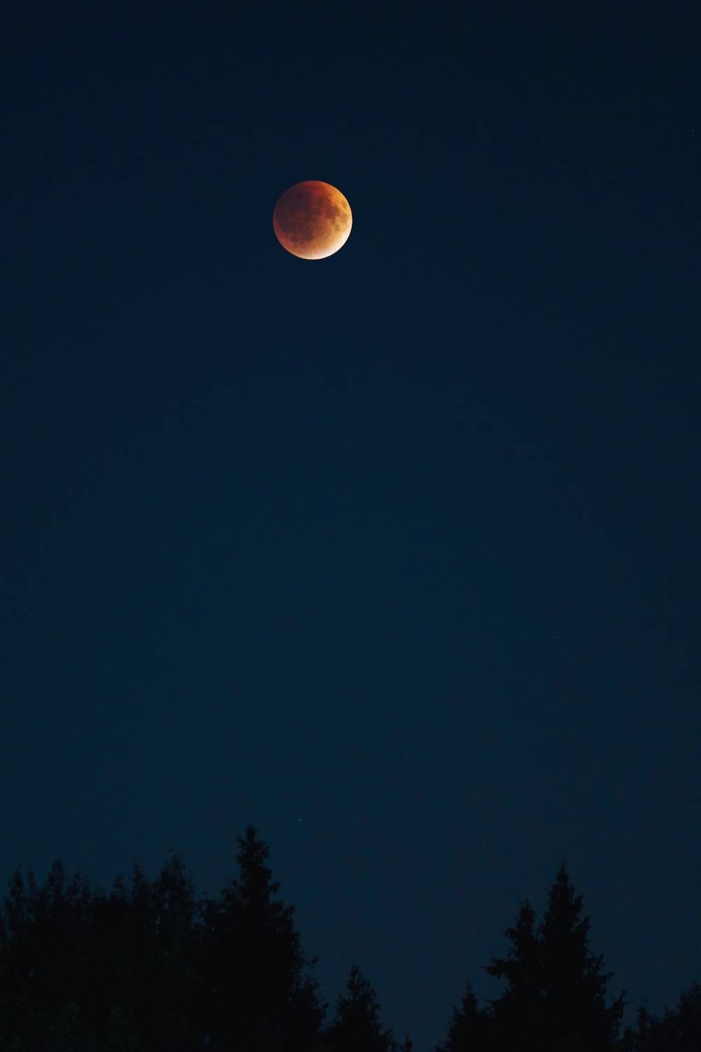 , Станислав