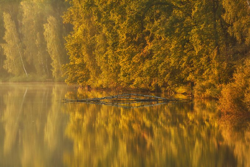 пейзаж, осень, река, лес, природа, дикая природа, nature, landscape, canon Первые нотки золотой осени фото превью