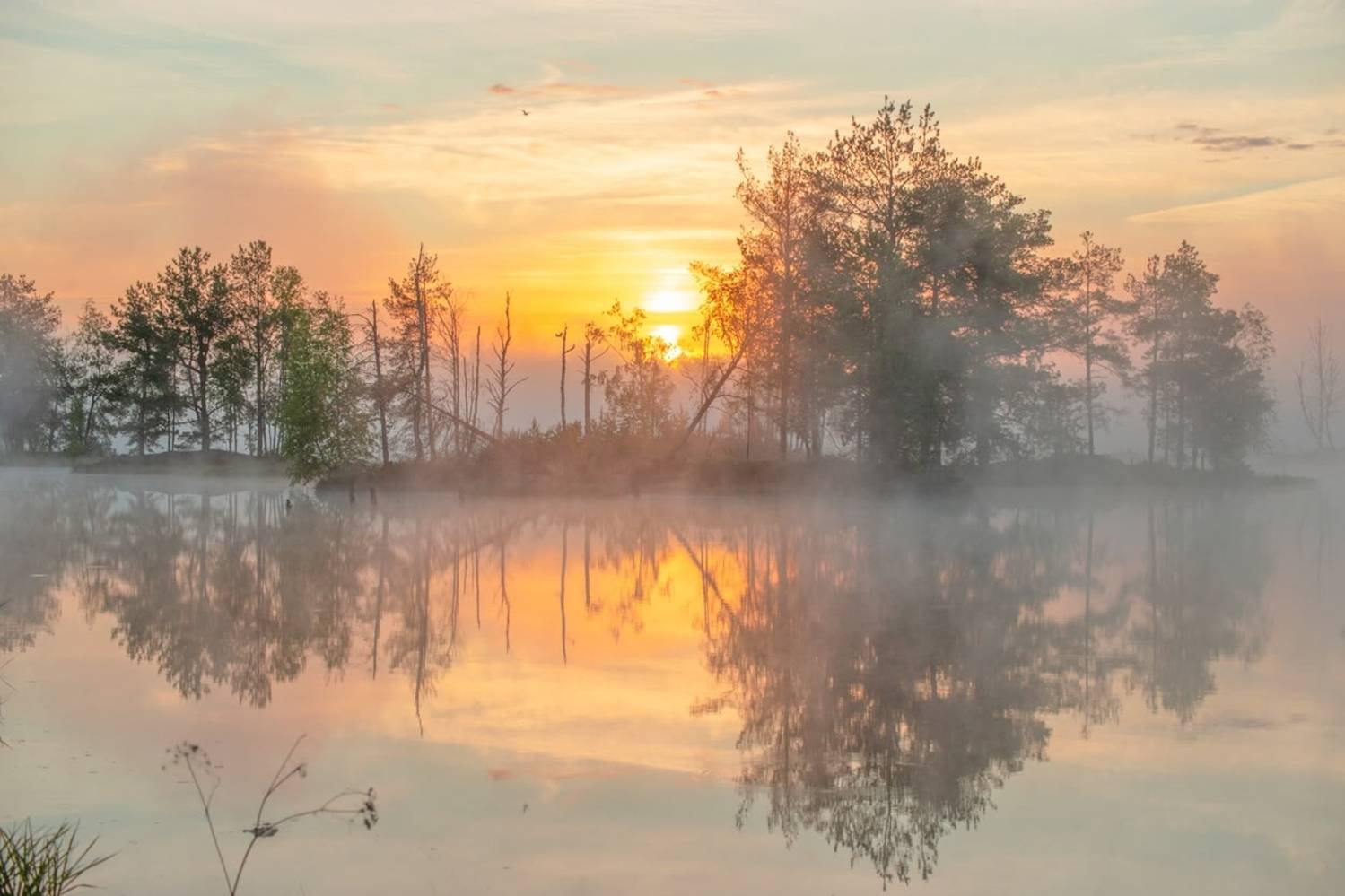 , Петр Косых