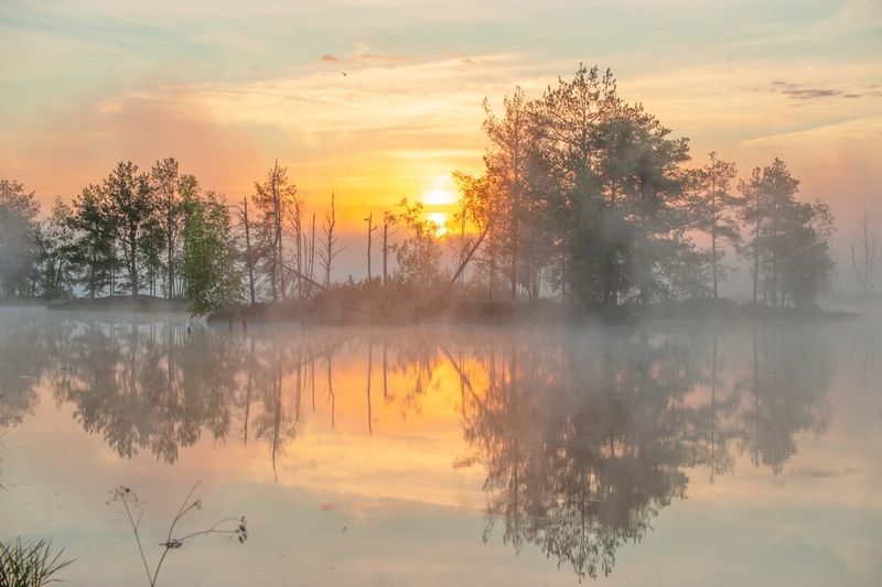 Утренняя тишина фото превью