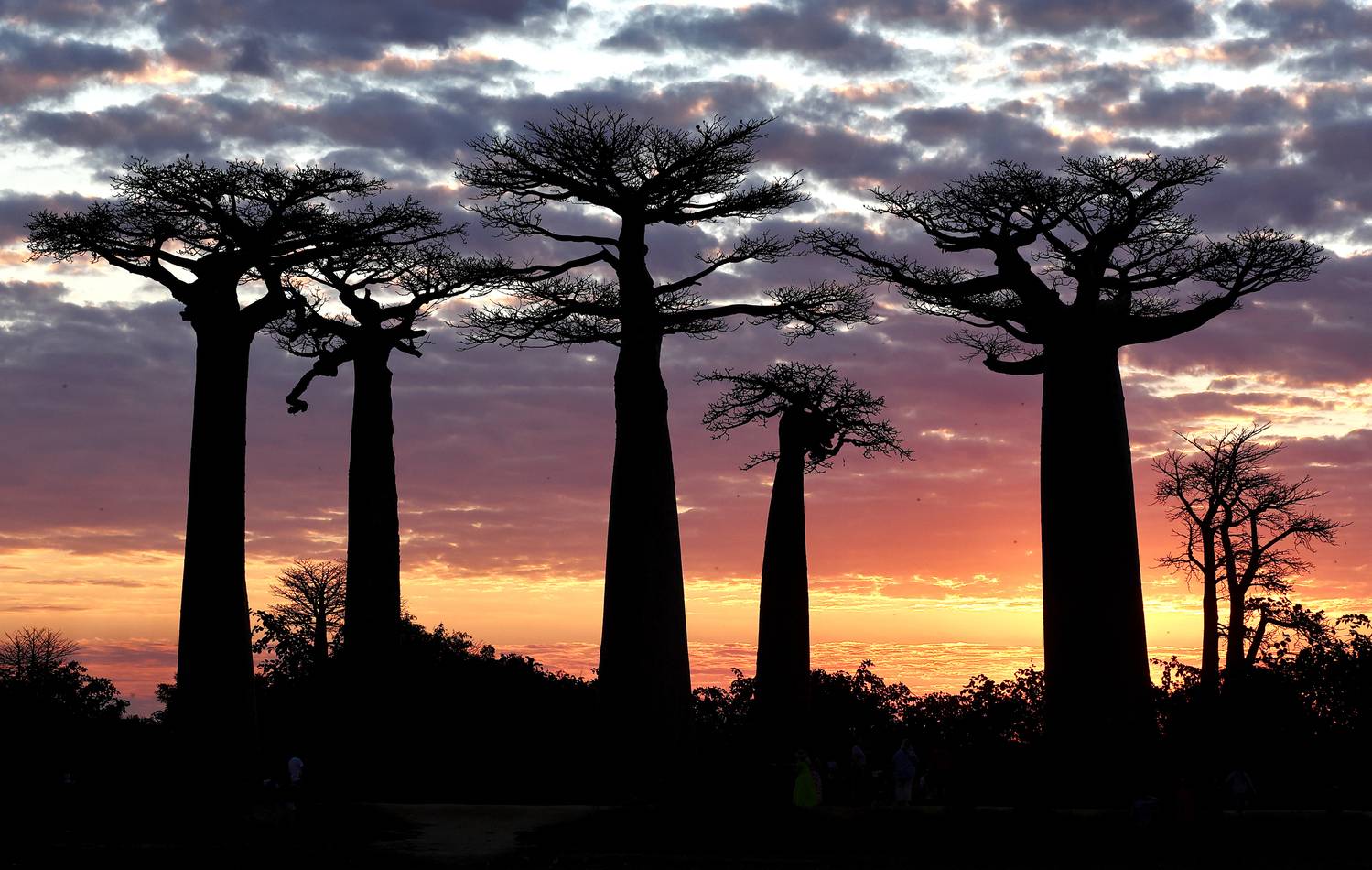 , Гудков Андрей