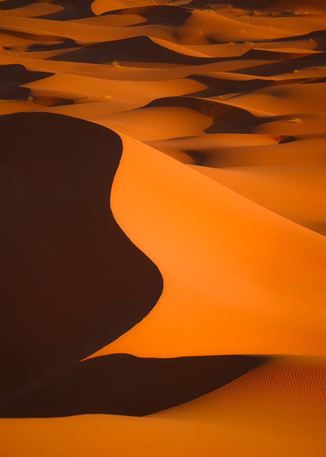 maroc, marocco, sahara desert, desert, sand, orange, light, марокко, пустыня, сахара, пейзаж, дюны, песок , Kaznov Stanislav