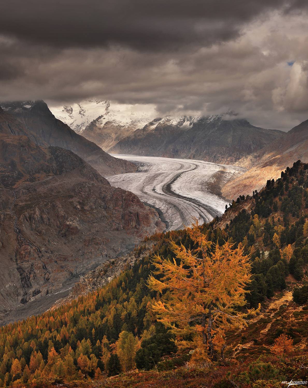 swiss, Матвеев Николай