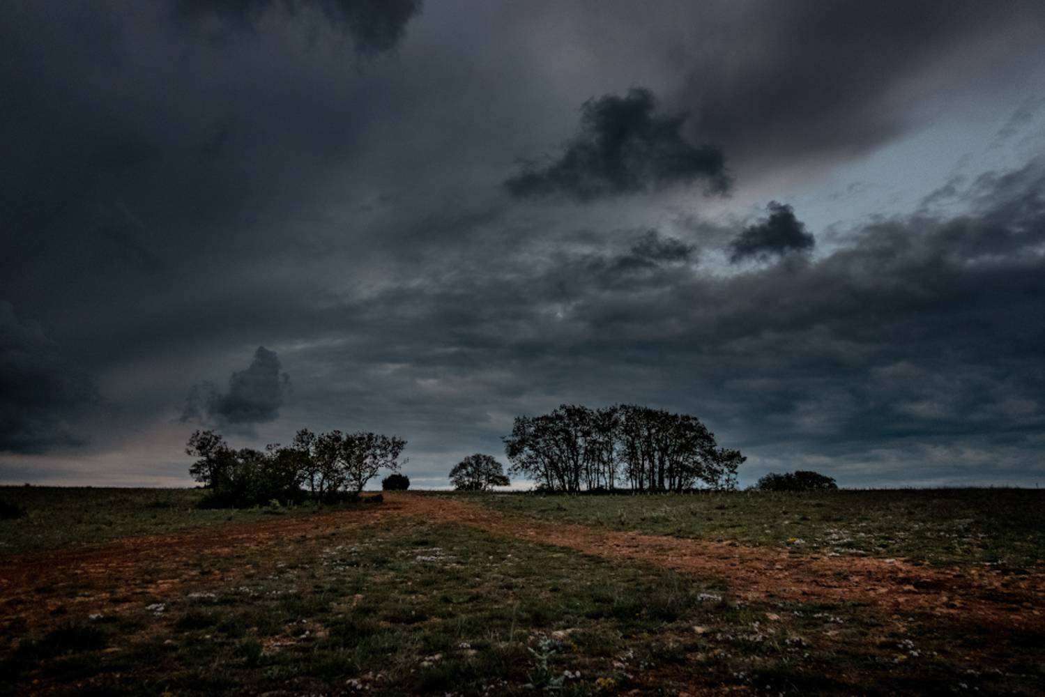 , Андрей Гусаченко