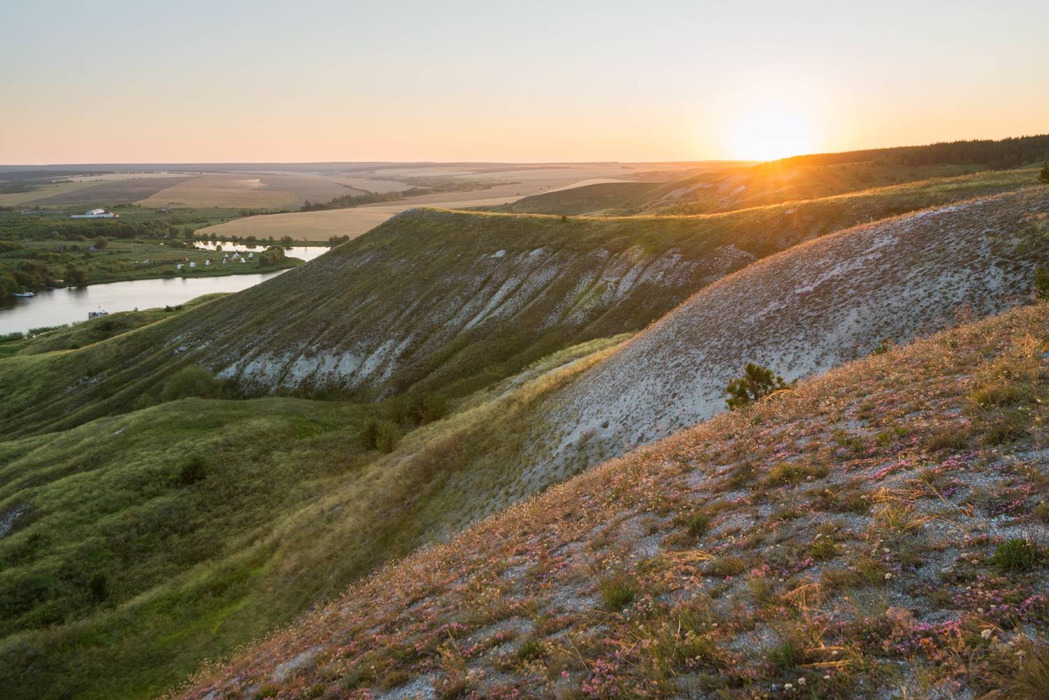 , Алексей Проняхин