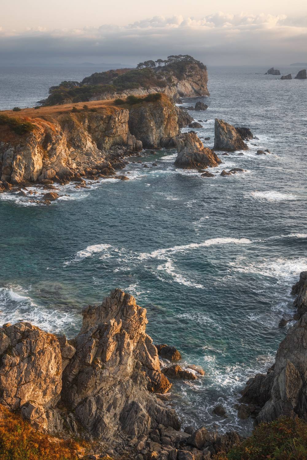 Приморье, Приморский край, Александр Писарев