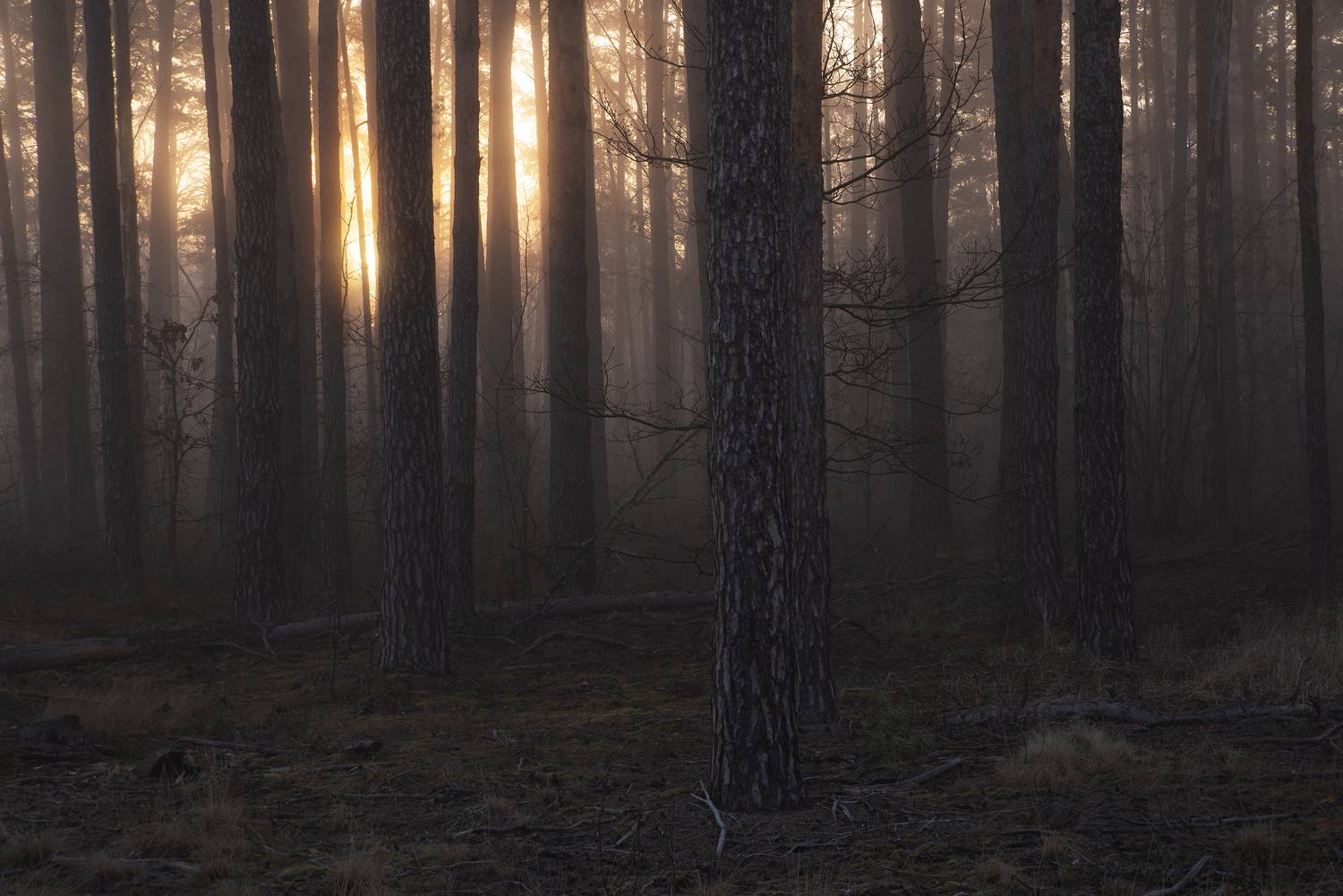 , Захаров Дмитрий