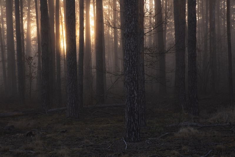 Разгорался рассвет фото превью
