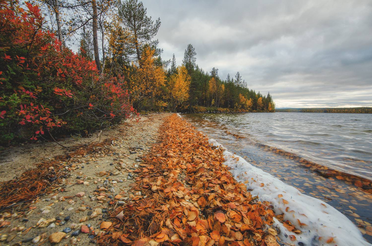 , Тихонов Сергей