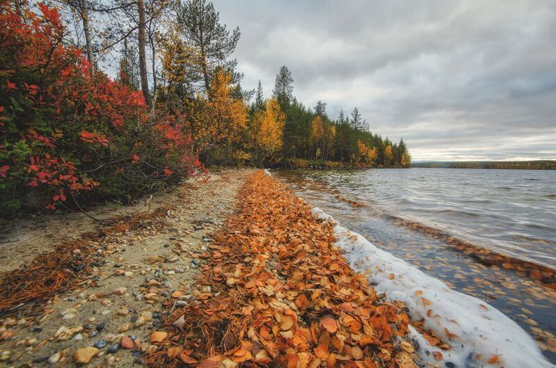 *** фото превью