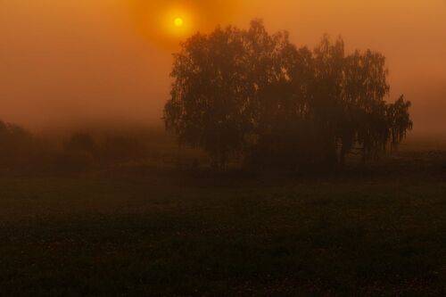 Утренний туман