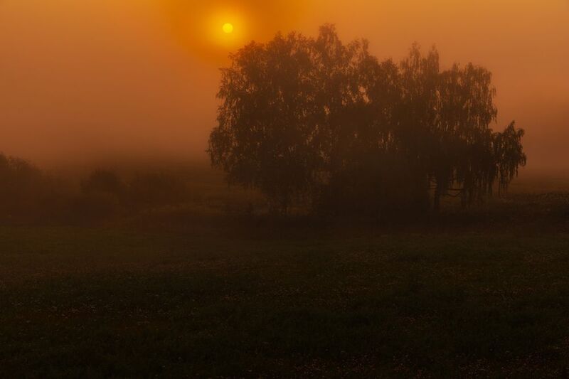 abashkin sergey,абашкин сергей, природа, forest, nature, пейзаж, туман, утро, рассвет, нижний новгород, нижегородчина, майморы, кужутки, дальнее константиново Утренний туман фото превью