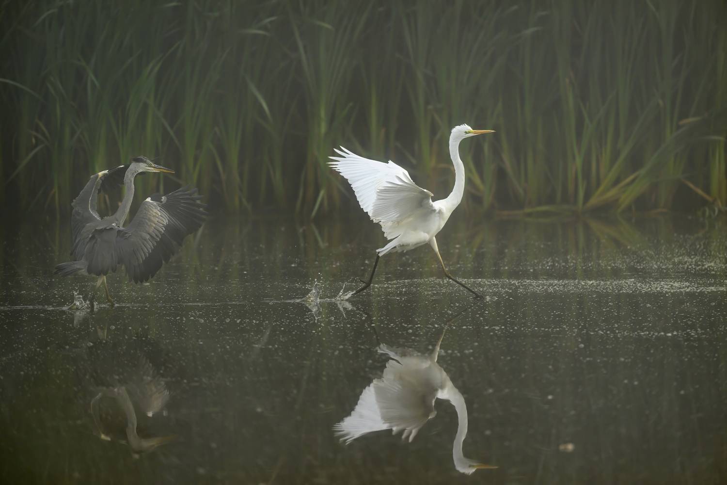 , Пупонин Сергей