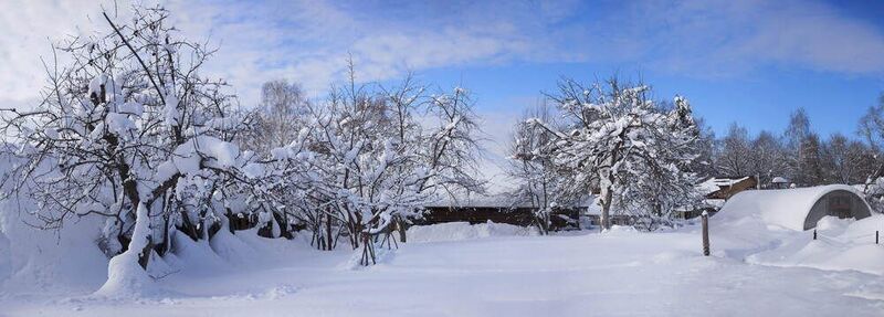 ***** фото превью