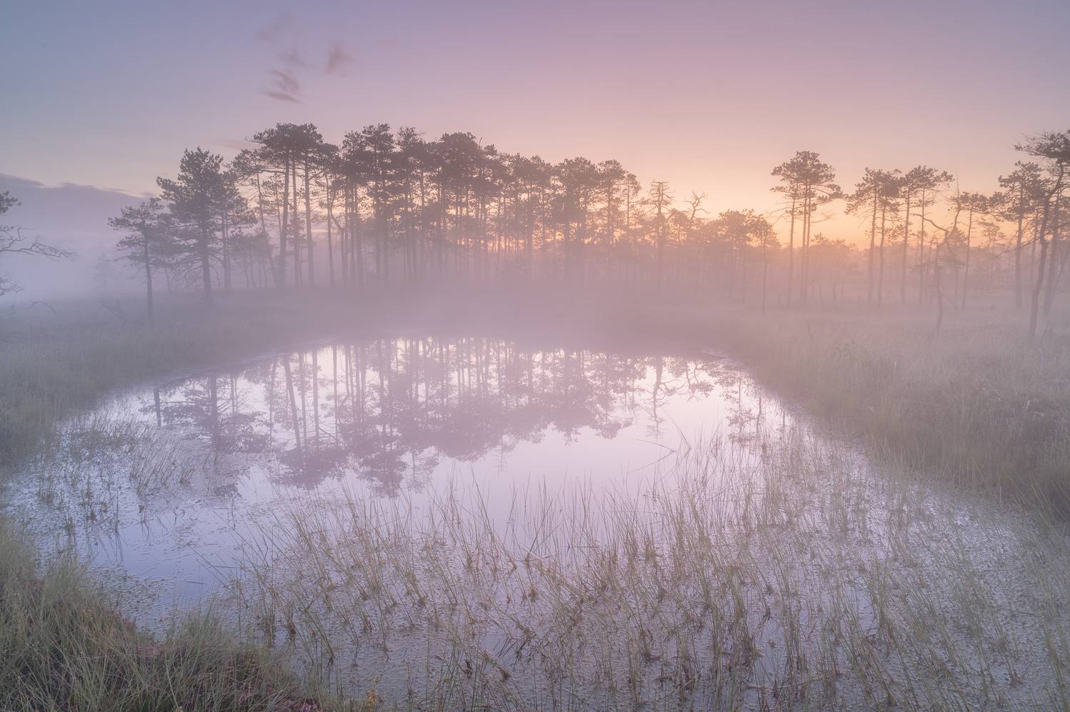 #санкт-петербург, Brouer Alexey