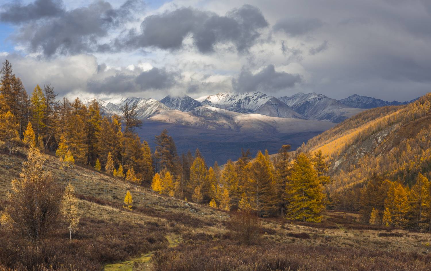 россия, горный алтай,осень, Андрей Поляков