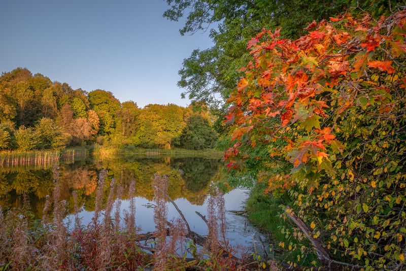 Вот и осень пришла.... фото превью