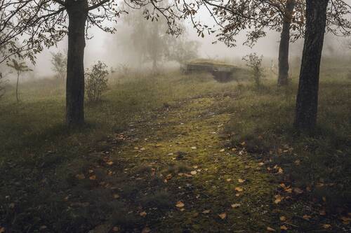 Whispers in the Fog