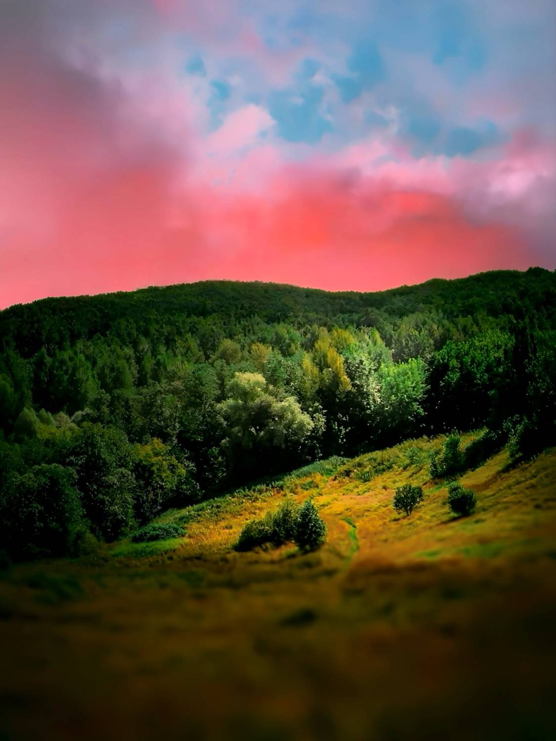 пейзаж, landscape, nature, природа, лето, summer, закат, sunset, Julia Kaissa