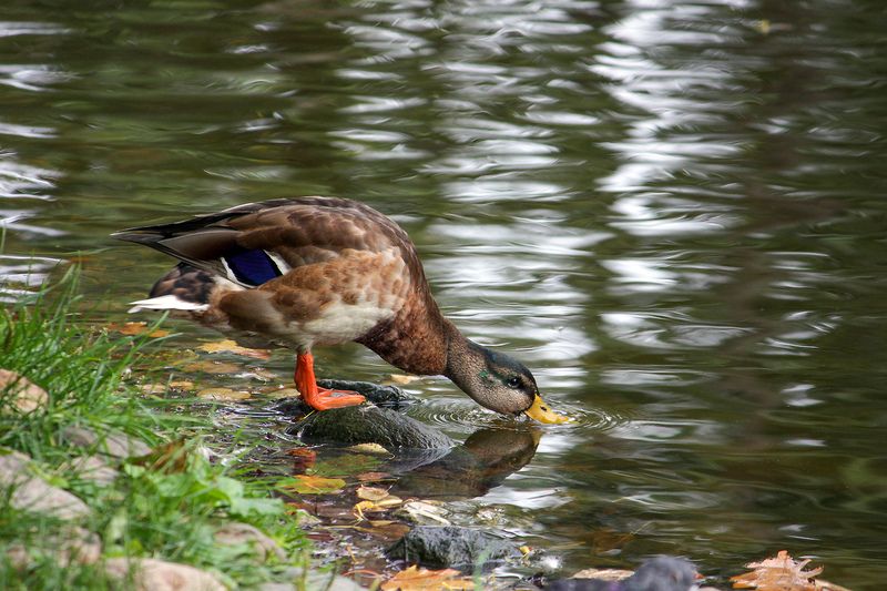 Утро после корпоратива фото превью