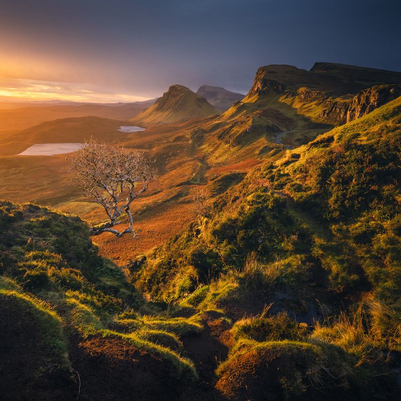 Scotland fairytale фото превью