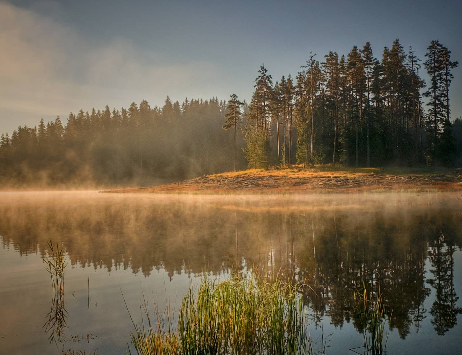 , Герчев Николай