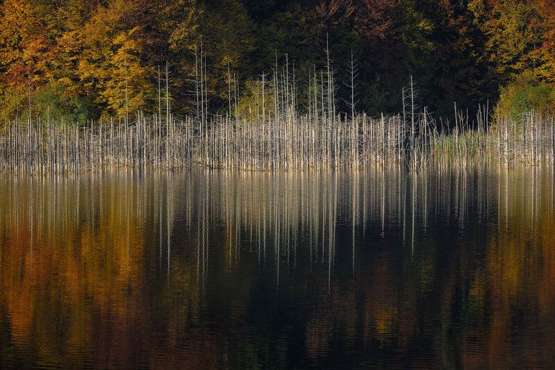 2019 фото превью