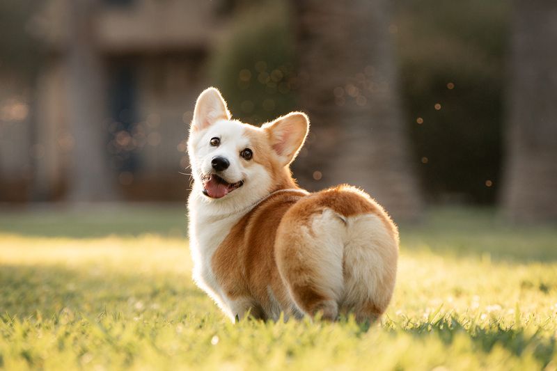 Hello! фото превью