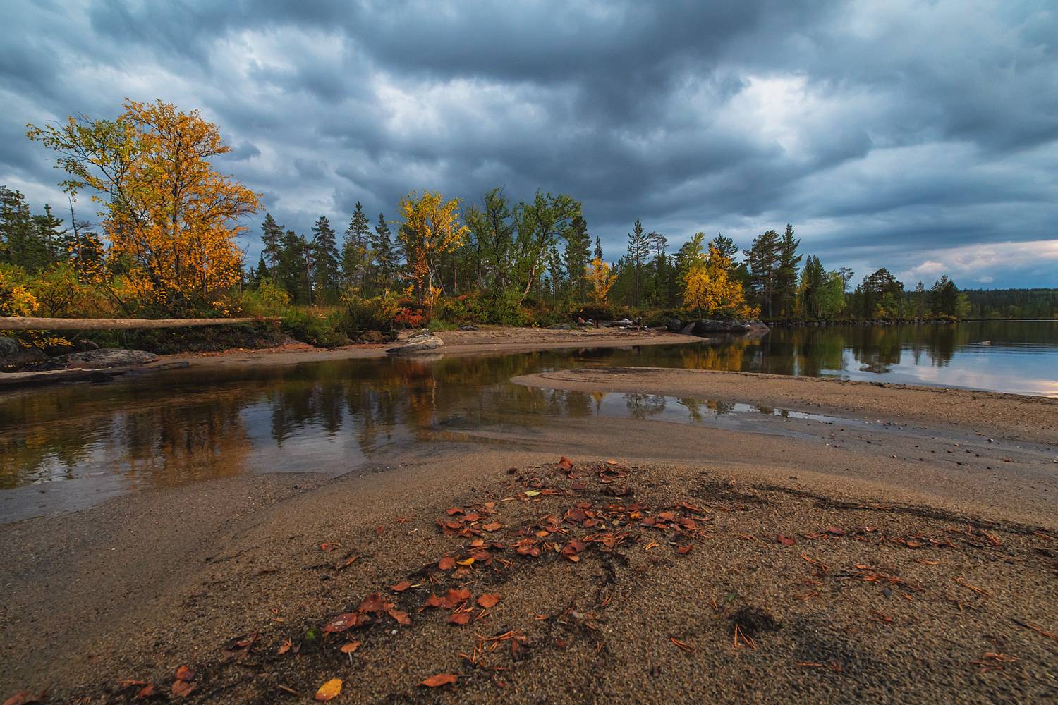 , Тихонов Сергей