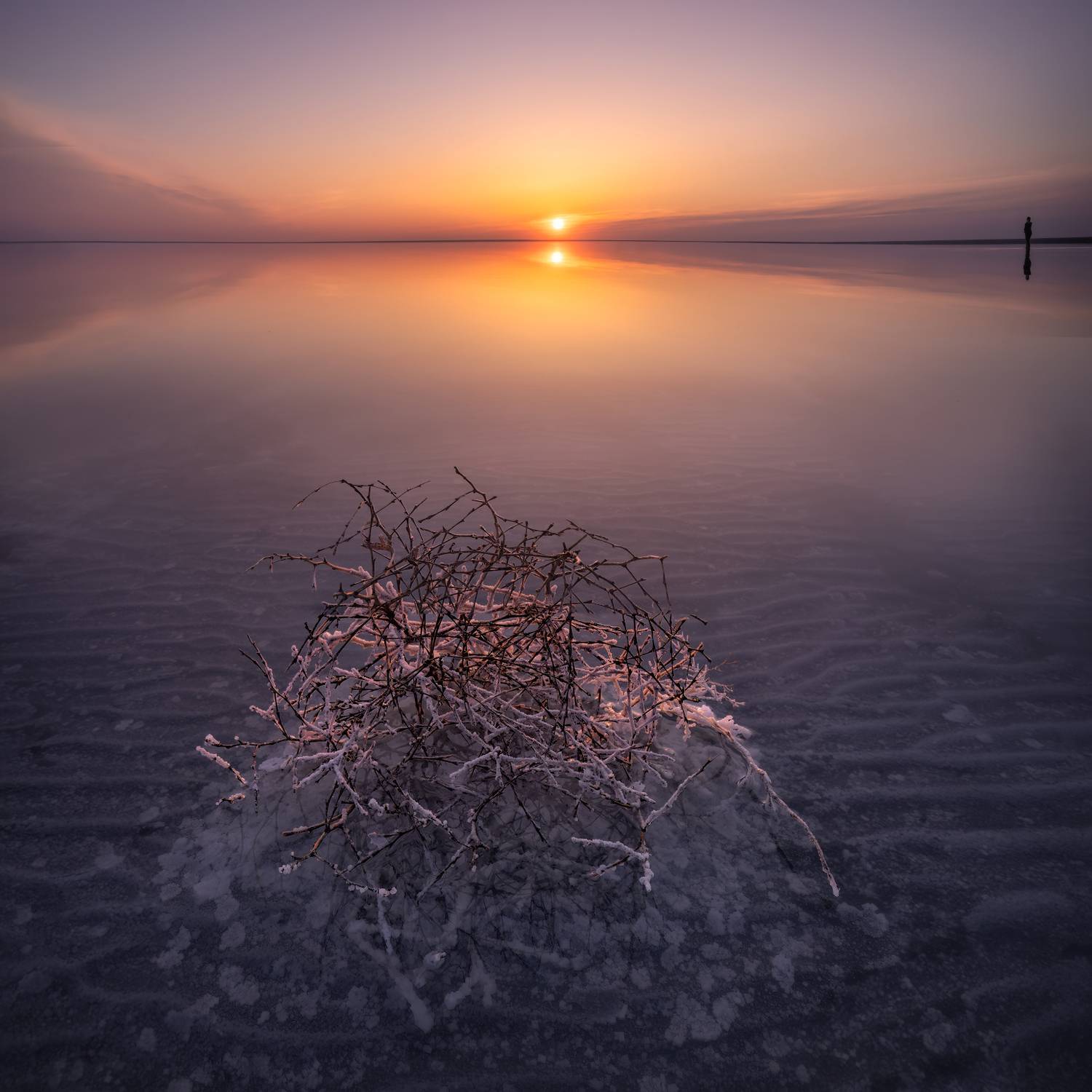 , Михаил Харитонычев