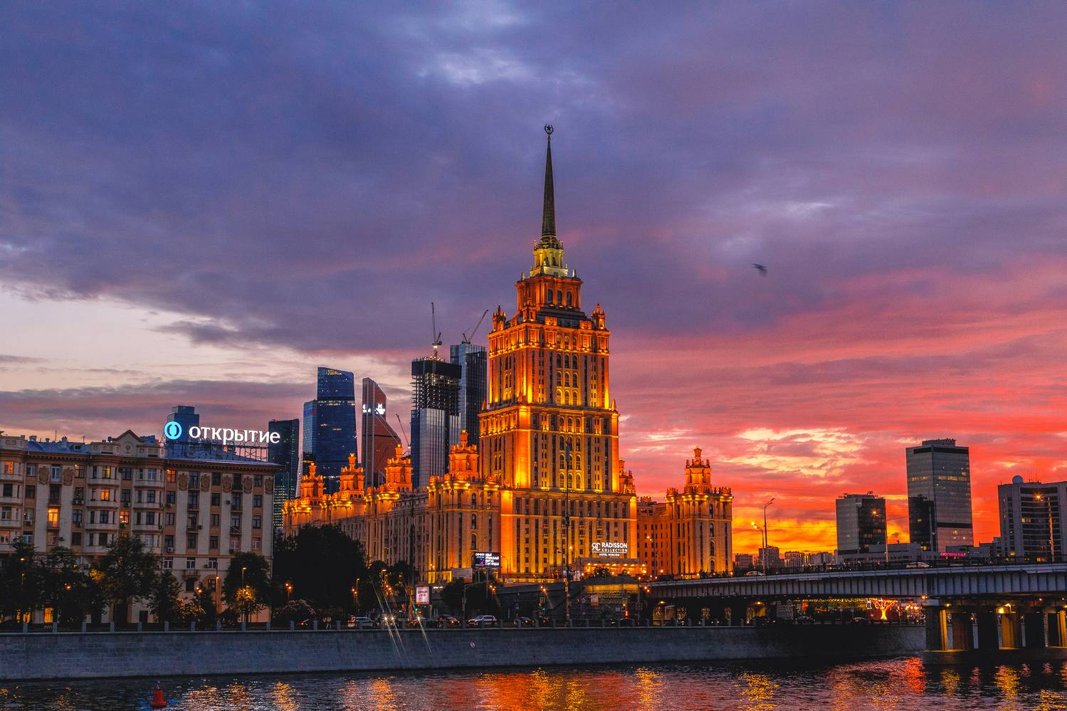 , Трепольский Дмитрий