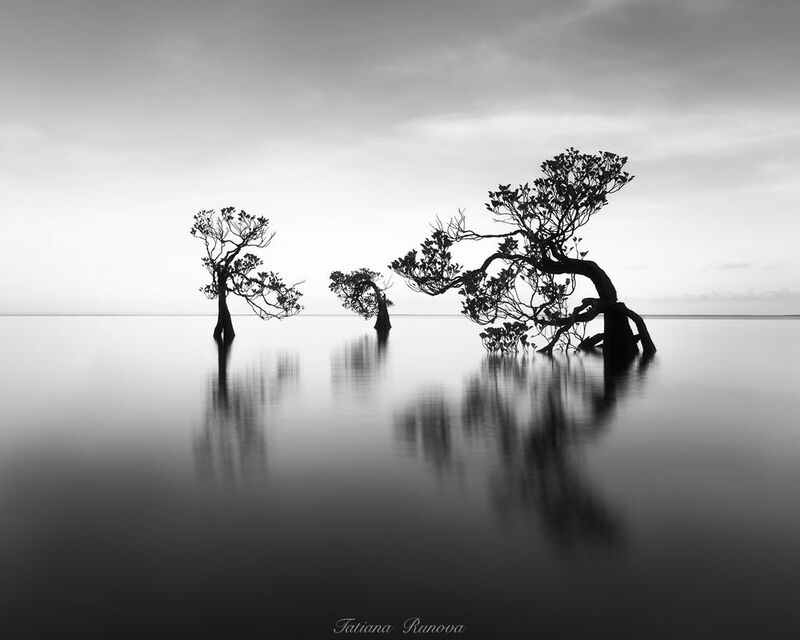 Танец в океане фото превью