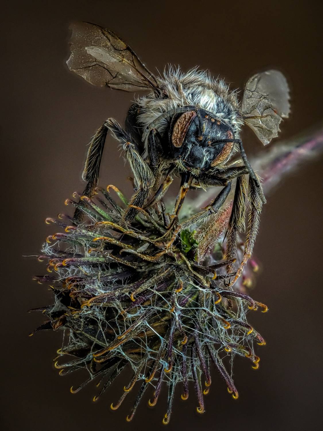 , Олег Савицкий