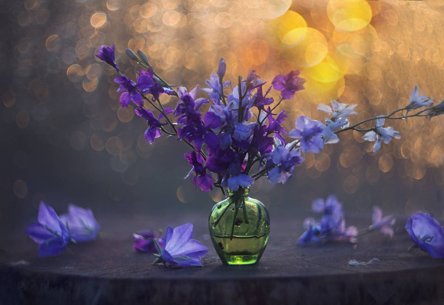 закат, цветы, боке, колокольчики, Зимина Лионелла