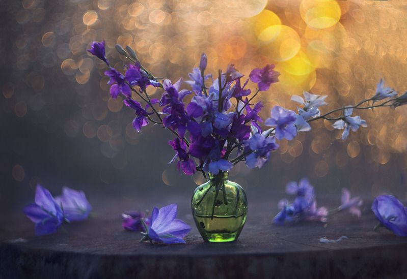 Вечерний  звон фото превью