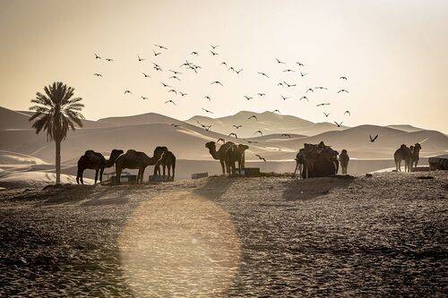 Мои марокканские истории, Сахара, часть 2