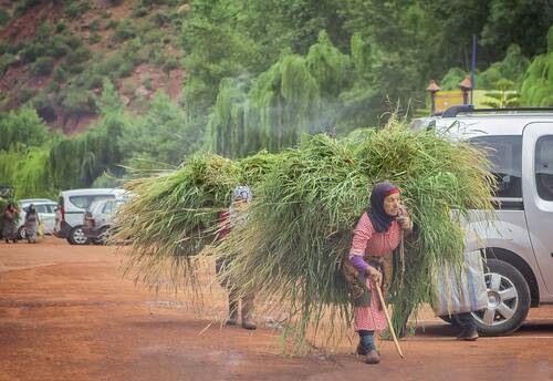 Мои марокканские истории, Ourika Valley