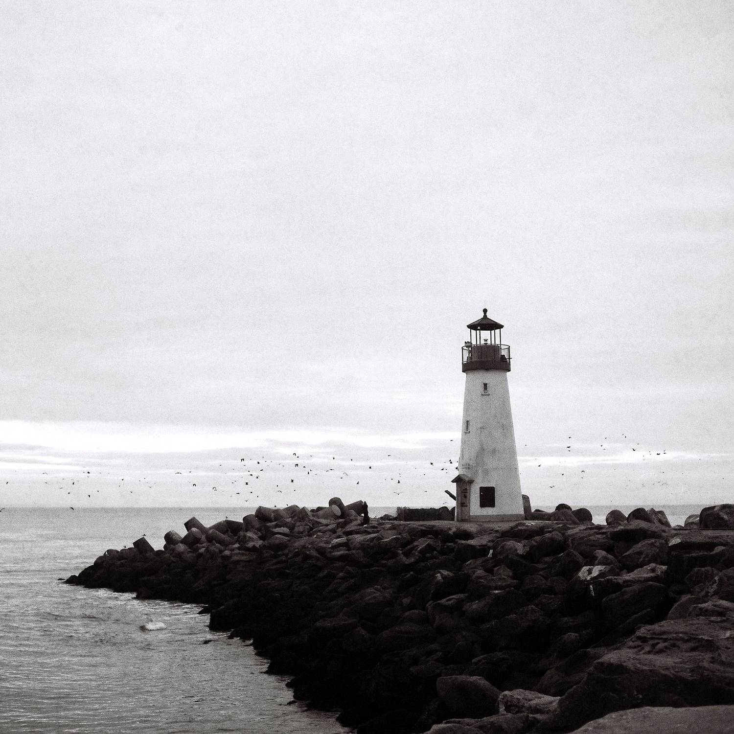 lighthouse, landscape, seascape, photography, black, white, monochrome, coastal, ocean, sea, rocks, birds, minimalist, atmospheric, moody, nature, architecture, maritime, beacon, waves, horizon, peaceful, serene, nautical, stones, sky, clouds, contrast, c, Erik Rozman