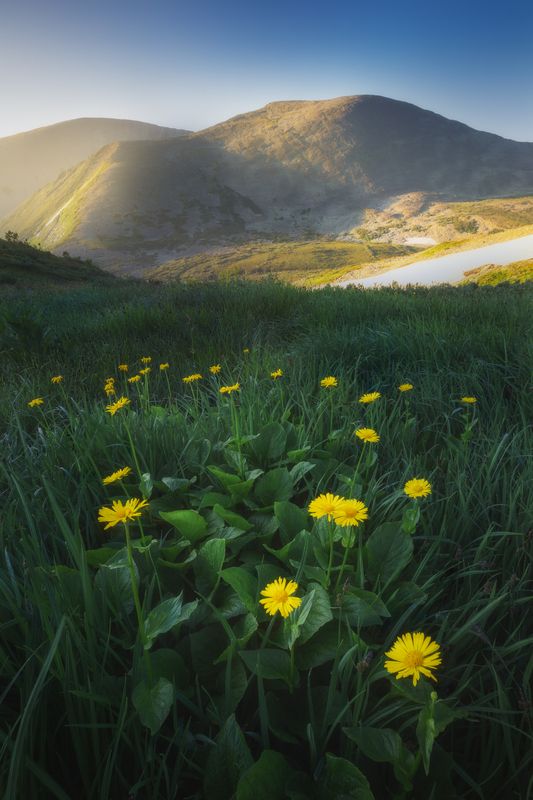 пейзаж, природа, рассвет, утро, поднебесные зубья, горы, цветы Караташский перевал фото превью