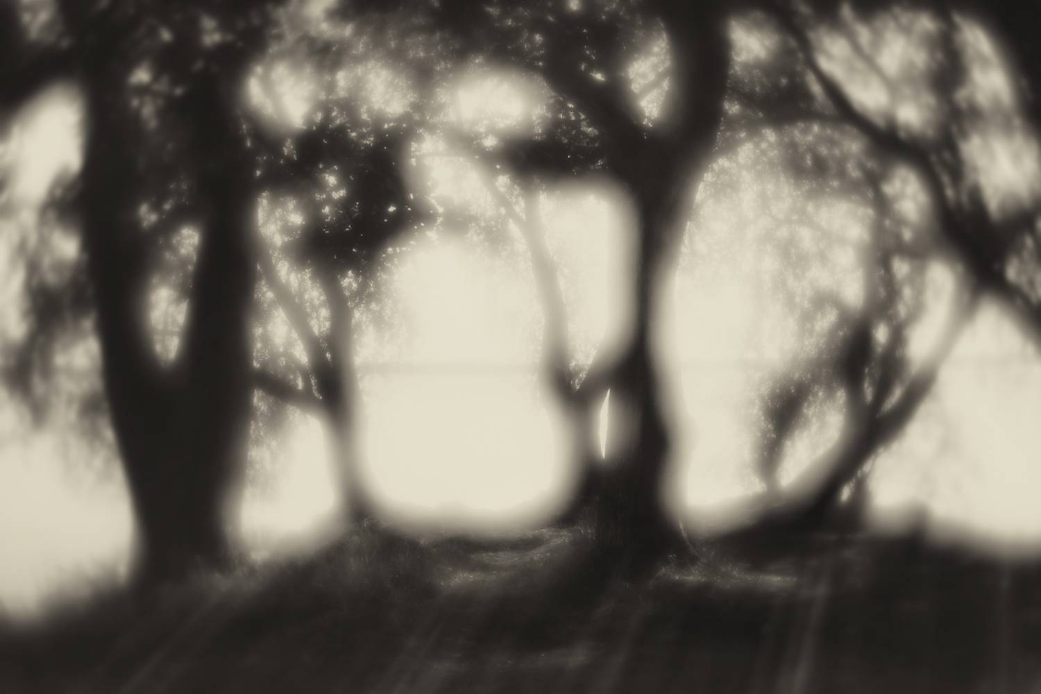 светотень, Алексей Назаров